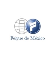 FEIYUE